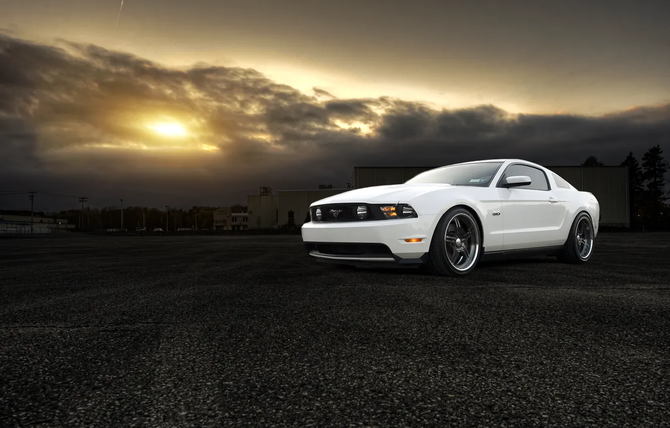 Фото обои белый, солнце, закат, Mustang, Ford, мустанг, white, мускул кар, форд, muscle car, 5.0, front