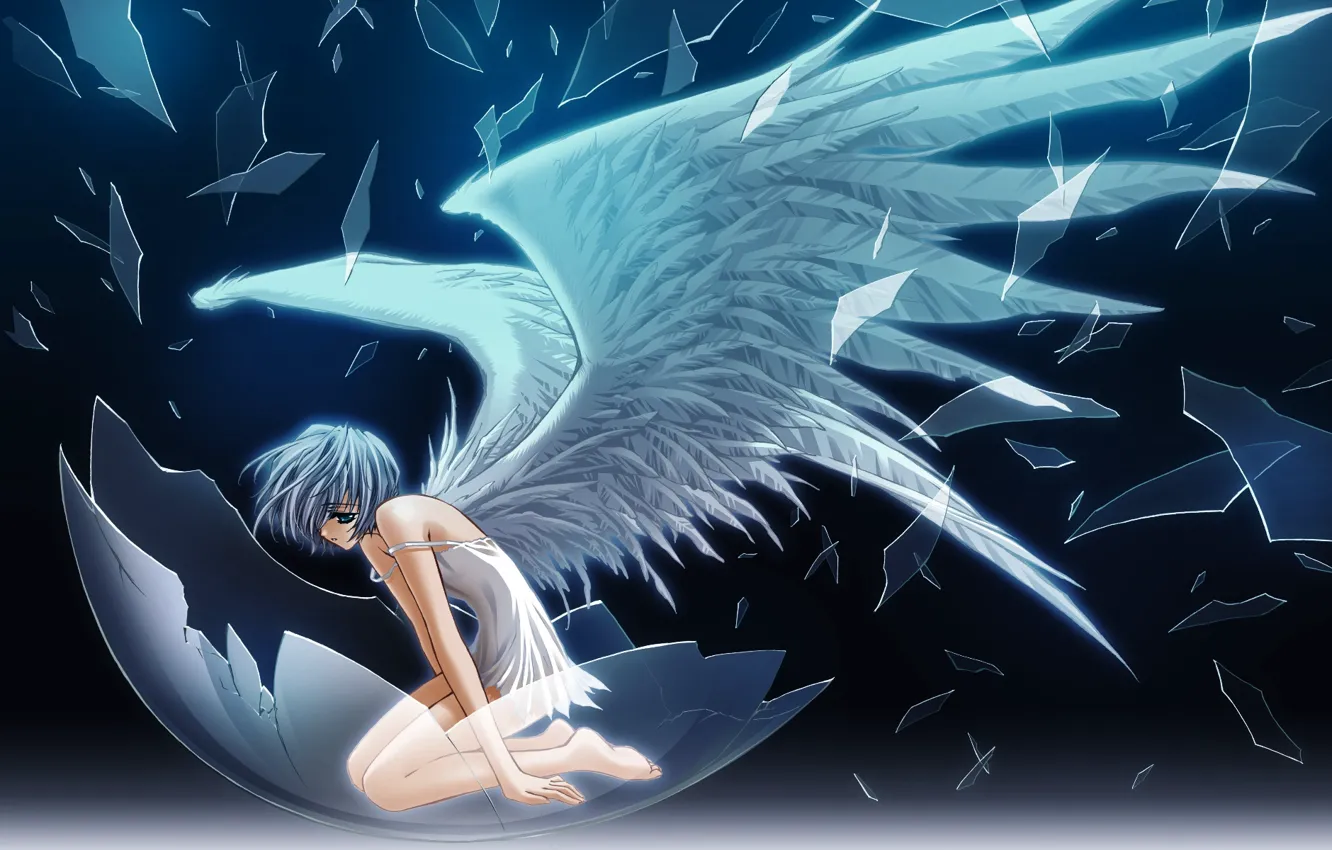 Фото обои стекло, осколки, крылья, ангел