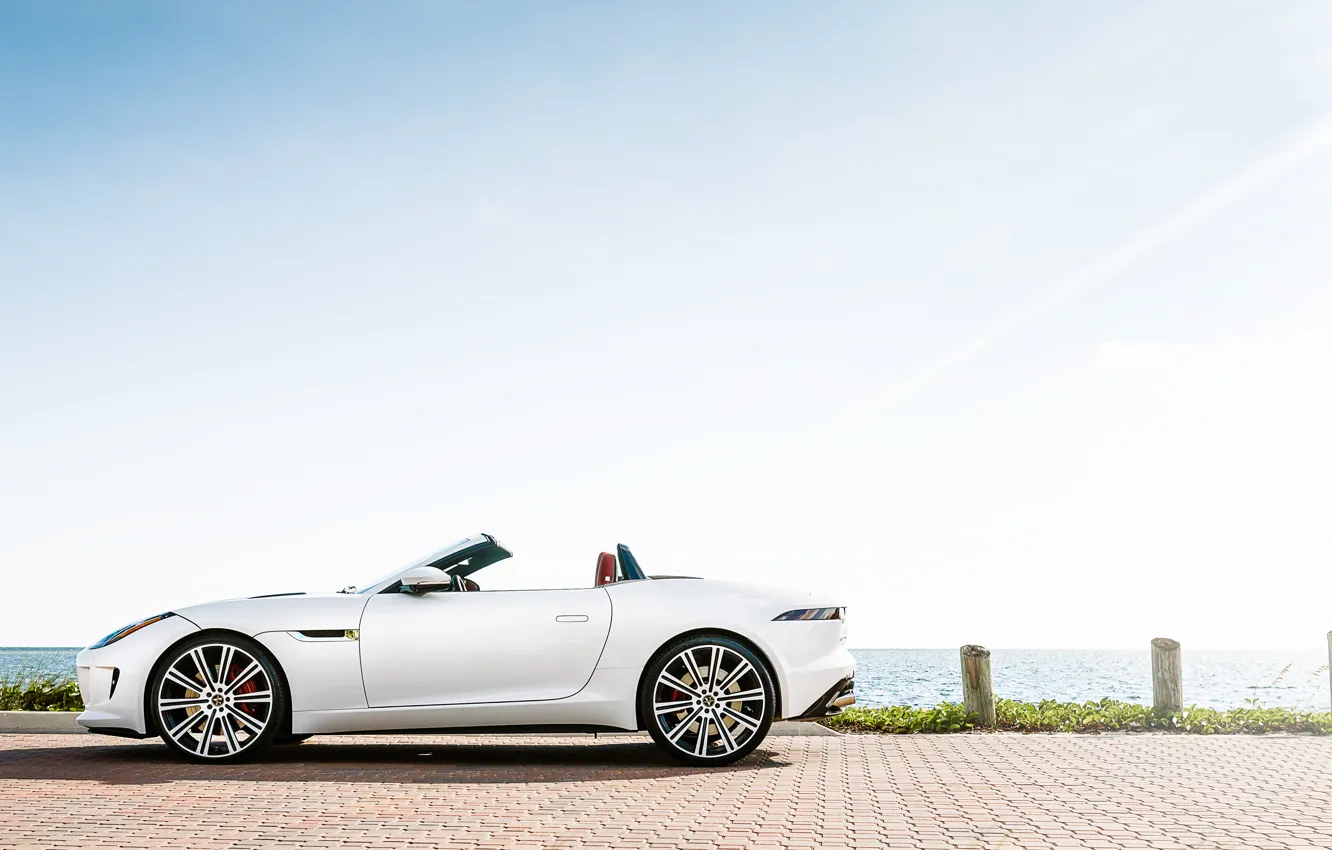 Фото обои Jaguar, white, F-Type, profile