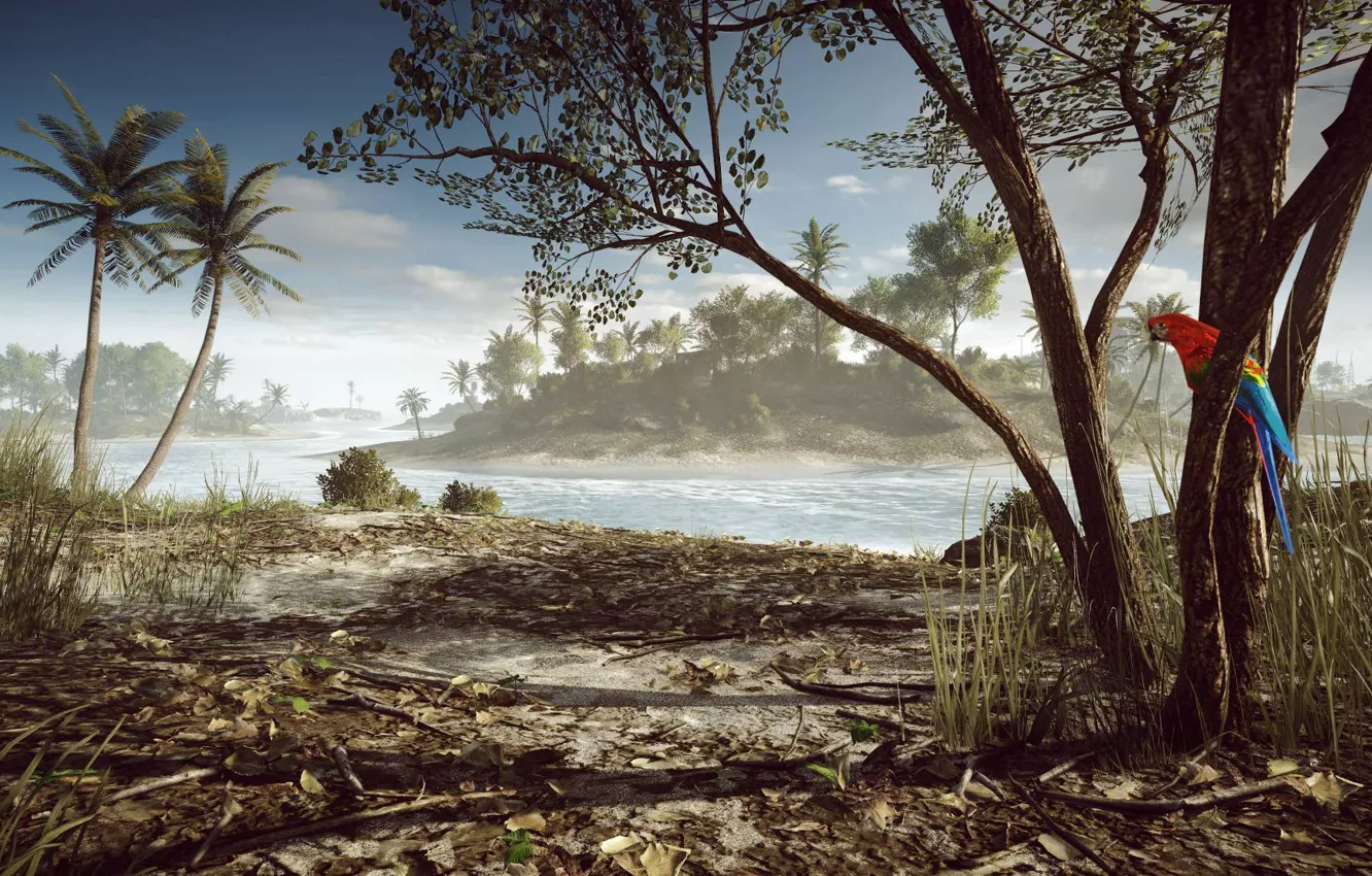 Фото обои Пальмы, Попугай, Battlefield 4, Парасельские Острова, Paracel Storm