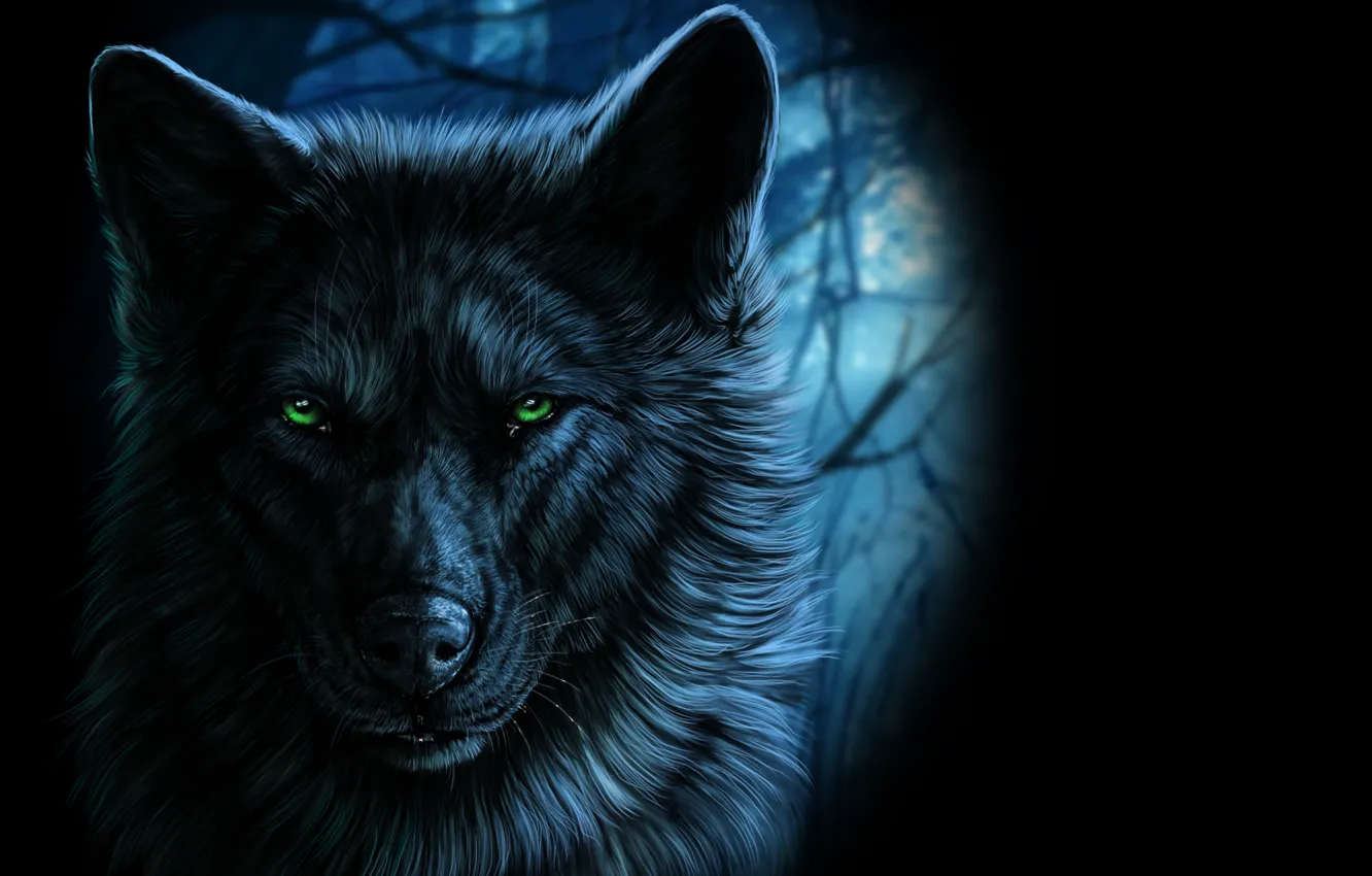 Фото обои взгляд, волк, арт, зеленые глаза, wolfroad